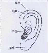  (tng)٣䣩
