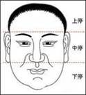 面相算命入門：三停，什么是三停？