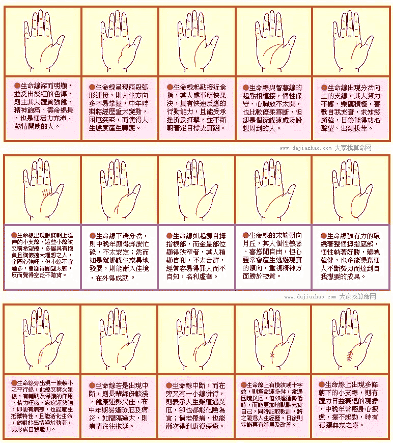 (xin)D1