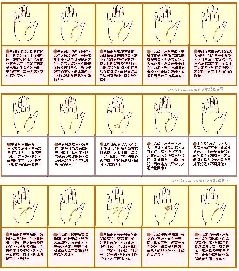 (xin)D2