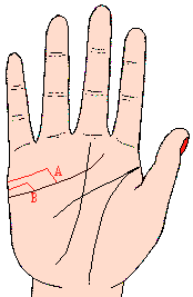 D5