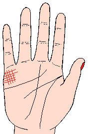 D9