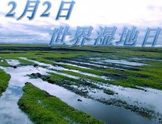 ʲô(ji)յā(li)v