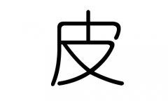 皮字的五行屬什么，皮字有幾劃，皮字的含義