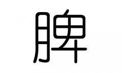 脾字的五行屬什么，脾字有幾劃，脾字的含義