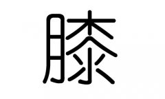 膝字的五行屬什么，膝字有幾劃，膝字的含義