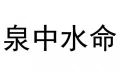 Ȫˮʲô˼Ȫˮò