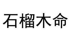 ʯľʲô˼ʯľò