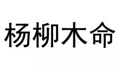 ľʲô˼ľò