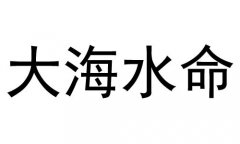 ˮʲô˼ˮò