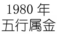 1980Ќʲô1980ʲô
