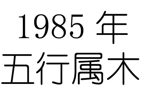 1985Ќʲô1985ʲô