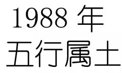 1988Ќʲô1988ʲô