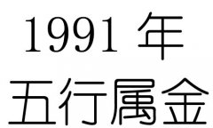 1991Ќʲô1991ʲô
