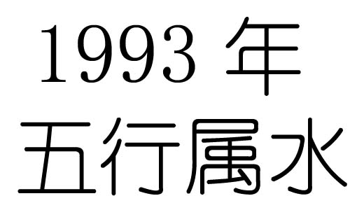 1993Ќʲô1993ʲô