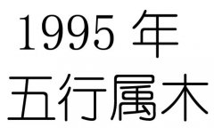 1995Ќʲô1995ʲô