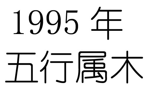 1995Ќʲô1995ʲô