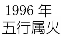 1996Ќʲô1996ʲô