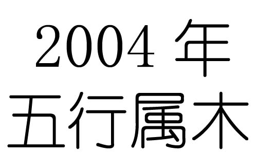 2004Ќʲô2004ʲô
