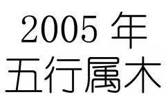 2005Ќʲô2005ʲô
