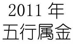 2011Ќʲô2011ʲô