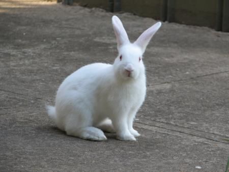 ʮ\Æ