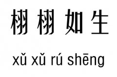 м_Z(y)