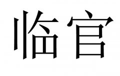Rʲô˼