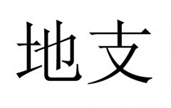 ֧ʲô˼