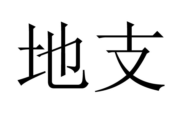 ֧ʲô˼