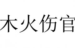 ľʲô˼