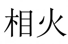 ʲô˼