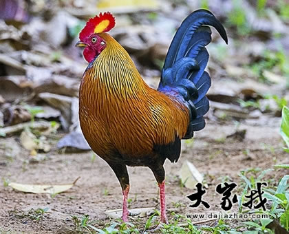 u2018\(yn)ݼ\(yn) u2018ȫ\(yn)