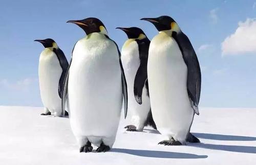 (mng)Ҋ(jin)Z (mng)Ҋ(jin)ZʲôA(y)ʾ