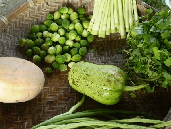 夢見菜圃