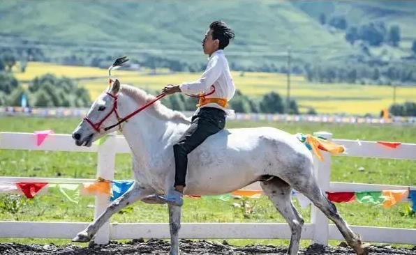 夢見賽馬選手