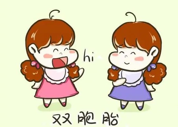 夢(mèng)見(jiàn)雙胞胎