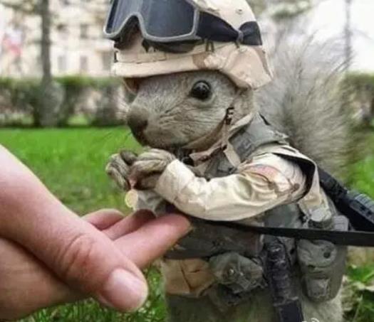ҊbԼ ҊbԼʲôA ҊbԼò