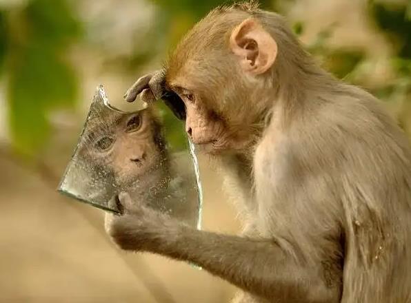 (mng)ҊRеӰ (mng)(mng)ҊRеӰʲôA(y) (mng)ҊRеӰò