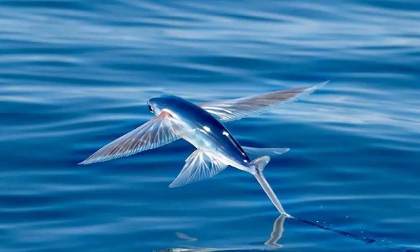 (mng)Ҋ~ڿw (mng)(mng)Ҋ~ڿwʲôA(y) (mng)Ҋ~ڿwò
