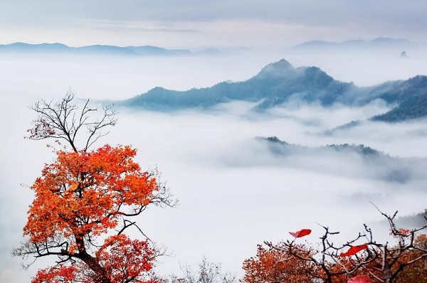 生肖失眠最好的治療方法
