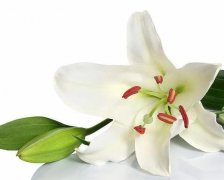 <b>ٺϻLˮ</b>