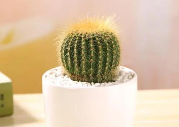 Lˮ