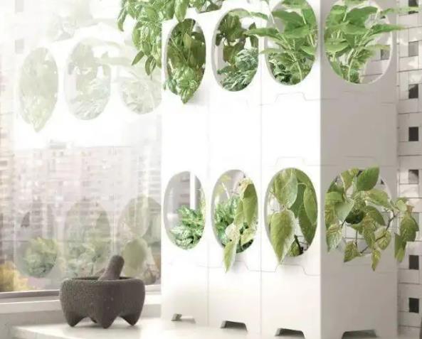 客廳東南擺綠色植物最招財(cái)
