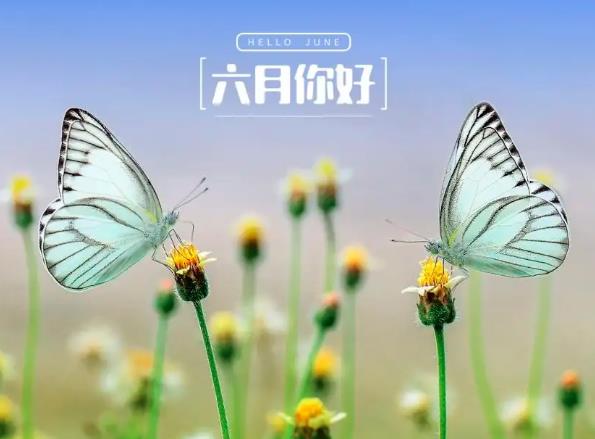 6月5日生日書_出生日的幸運(yùn)數(shù)字
