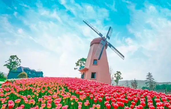 7月23日生日書_出生日的幸運(yùn)數(shù)字