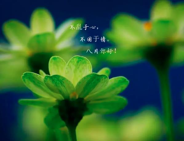 821Օ_յ\(sh)