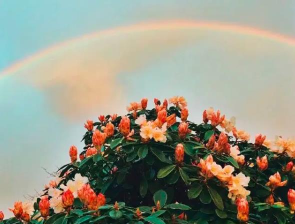 93Օ_յ\(sh)