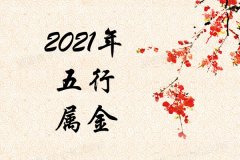 2021Ќʲô2021ʲô