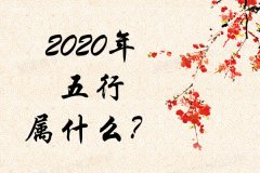 2020Ќʲô2020ʲô
